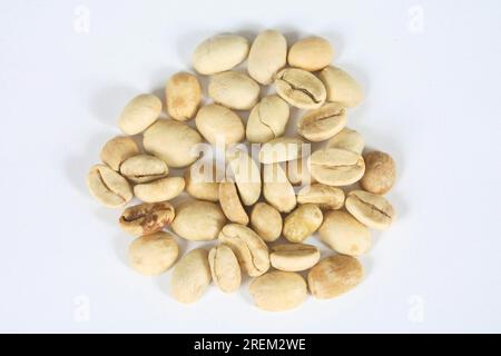 Chicchi di caffè (Coffea arabica) India Monsooned Malabar, crudi Foto Stock