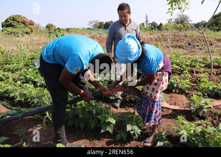 Cina. 29 luglio 2023. Boane, Mozambico. 28 luglio 2023. Un tecnico (L) del China-Mozambico Agricultural Technology Demonstration Center aiuta un agricoltore locale a collegare tubi dell'acqua al villaggio di Manguiza nel distretto di Boane nella provincia di Maputo, Mozambico, 28 luglio 2023. Costruito nel 2010, il centro dimostrativo è un importante progetto di cooperazione tra i governi cinese e mozambicano. Oltre a fare esperimenti agricoli, il centro è anche coinvolto nella formazione degli agricoltori locali. Crediti: Dong Jianghui/Xinhua/Alamy Live News Credit: Xinhua/Alamy Live News Foto Stock