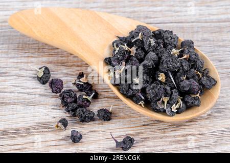 wolfberries neri o bacche nere di goji, in un cucchiaio di legno sul tavolo. Erbe cinesi comunemente usate nella medicina tradizionale cinese. Concetto di assistenza sanitaria. Foto Stock