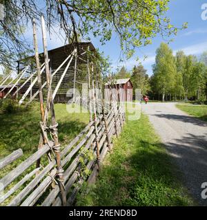 UMEÅ, SVEZIA IL 30 MAGGIO 2023. Vista all'aperto di un'ex fattoria, oggi un museo all'aperto. Visitatori non identificati. Editoriale u Foto Stock