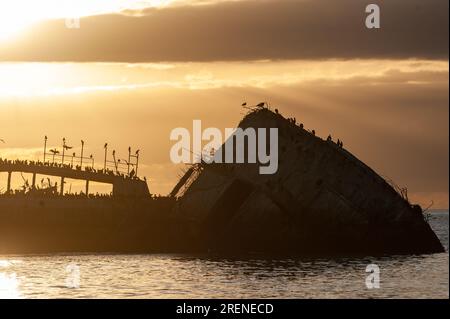 Silhoutte della SS Palo Alto vicino al tramonto, un vecchio naufragio della seconda guerra mondiale al largo della costa di Aptos, California Foto Stock