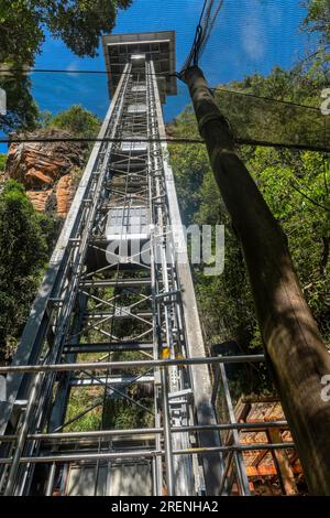 Sudafrica, Gola di Graskop, ascensore di vetro che scende in una gola, zip-line e ponte sospeso. viaggia nel cuore di una p Foto Stock