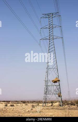 Piloni elettrici, che trasportano linee ad alta tensione attraverso l'arido deserto del Kalahari in Namibia, con due nidi di tessitori sociali nella acciaieria Foto Stock