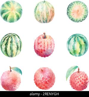 Set di acquerelli di frutta ad acquerello, lychee e melone, isolati su sfondo bianco. Illustrazione disegnata a mano. Illustrazione Vettoriale