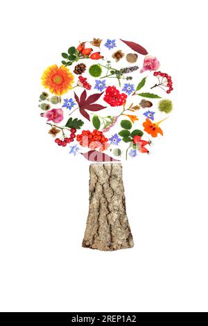 Surreale composizione a forma di albero del Ringraziamento autunnale su sfondo bianco. Design astratto con foglie, fiori, noci, frutti di bosco per biglietti d'auguri Foto Stock