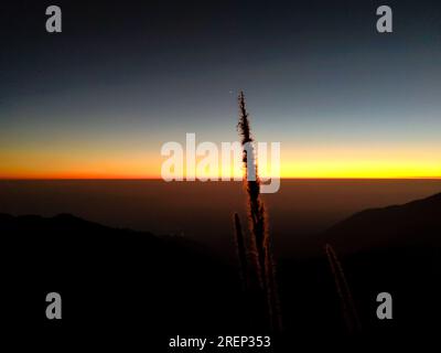 Esotico scatto a 180 gradi della linea invernale arancione con silhouette da montagna a Mussoorie, Uttarakhand, India. Splendido scenario invernale. Foto Stock