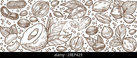 Mandorle e noci, banner nutrizionale e dieteting Illustrazione Vettoriale