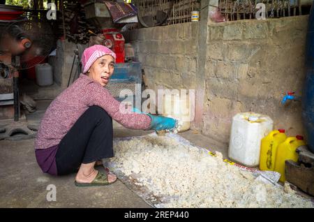 Una donna di minoranza etnica thailandese bianca si accosta mentre prepara il riso per preparare il "rượu" o l'alcol distillato, la bevanda alcolica tradizionale a mai Chau, vi Foto Stock