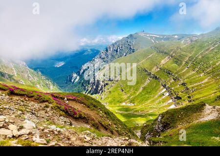 Sentiero di alpinismo da Busteni al picco Omu attraverso la valle di Râul Valea Priponului (picco Costila sul retro), i monti Bucegi, Romania Foto Stock
