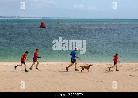 Studland, Dorset, Regno Unito. 29 luglio 2023. Meteo Regno Unito: Sole sulla spiaggia di Shell Bay, Studland. Una famiglia si gode una corsa lungo la costa con il proprio cane. Crediti: Carolyn Jenkins/Alamy Live News Foto Stock