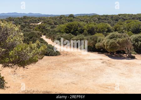 Area naturale di interesse speciale sa Punta de n'Amer. Riserva naturale tra le zone residenziali di Cala Millor e sa coma, Maiorca, Spagna, Europa Foto Stock