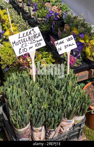 Porri di Musselburgh in vendita avvolti nel giornale al Sandringham Flower Show. Per la piantagione in orto o per l'assegnazione. Foto Stock