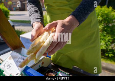 Vendita di asparagi , il venditore prepara l'ordine Foto Stock