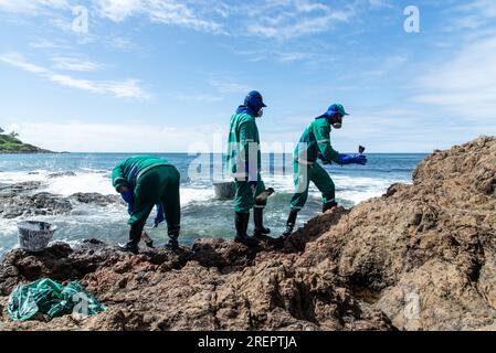 Salvador, Bahia, Brasile - 3 novembre 2019: I funzionari della città sono visti sulla cima delle rocce sulla spiaggia di Rio Vermelho per ripulire l'olio tossico versato in Brasile Foto Stock