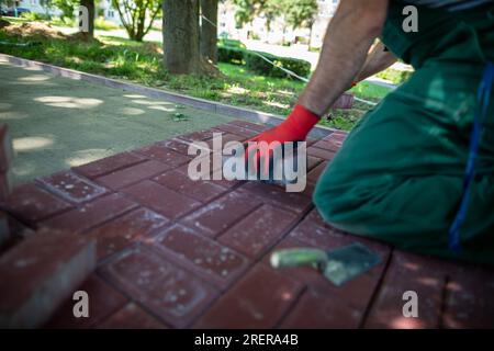 Un esperto lavoratore di pavimentazione si inginocchia durante la posa di pietre di pavimentazione. Foto Stock