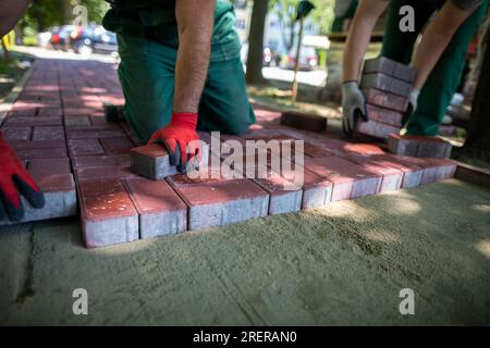 Un esperto operaio edile poggia pietre di pavimentazione rosse su un marciapiede. Foto Stock