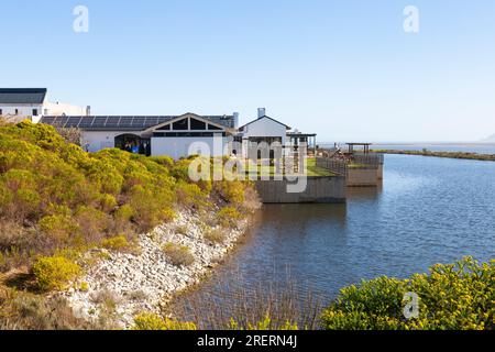 Benguela Cove Winery, Walker Bay, Hermanus, Western Cape Winelands, South Africa, classificata tra le migliori 50 aziende vinicole del mondo Foto Stock