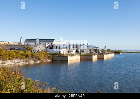 Benguela Cove Winery, Walker Bay, Hermanus, Western Cape Winelands, South Africa, classificata tra le migliori 50 aziende vinicole del mondo Foto Stock