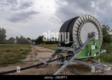 Carrello per irrigazione con bobina a zoccolo d'acqua vicino a un campo irrigato con patate Foto Stock