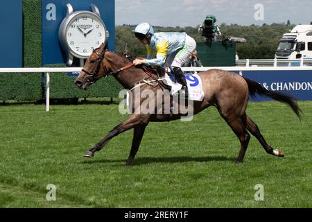 Ascot, Berkshire, Regno Unito. 29 luglio 2023. Cavallo Sacro Angelo guidato dal fantino Jason Hart vince il Bateaux London Princess Margaret Stakes all'ippodromo di Ascot nel QIPCO King George Day. Il proprietario Nurlan Bizakov. Allenatore Charlie Johnston, Middleham. Credito: Maureen McLean/Alamy Live News Foto Stock