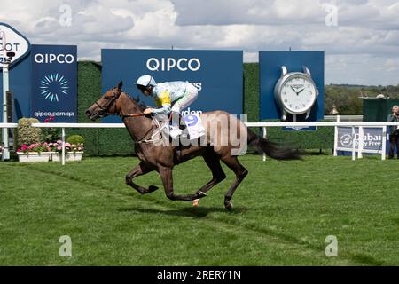 Ascot, Berkshire, Regno Unito. 29 luglio 2023. Cavallo Sacro Angelo guidato dal fantino Jason Hart vince il Bateaux London Princess Margaret Stakes all'ippodromo di Ascot nel QIPCO King George Day. Il proprietario Nurlan Bizakov. Allenatore Charlie Johnston, Middleham. Credito: Maureen McLean/Alamy Live News Foto Stock