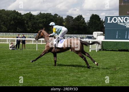 Ascot, Berkshire, Regno Unito. 29 luglio 2023. Cavallo Sacro Angelo guidato dal fantino Jason Hart vince il Bateaux London Princess Margaret Stakes all'ippodromo di Ascot nel QIPCO King George Day. Il proprietario Nurlan Bizakov. Allenatore Charlie Johnston, Middleham. Credito: Maureen McLean/Alamy Live News Foto Stock