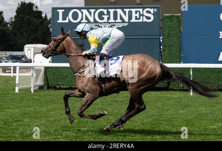 Ascot, Berkshire, Regno Unito. 29 luglio 2023. Cavallo Sacro Angelo guidato dal fantino Jason Hart vince il Bateaux London Princess Margaret Stakes all'ippodromo di Ascot nel QIPCO King George Day. Il proprietario Nurlan Bizakov. Allenatore Charlie Johnston, Middleham. Credito: Maureen McLean/Alamy Live News Foto Stock