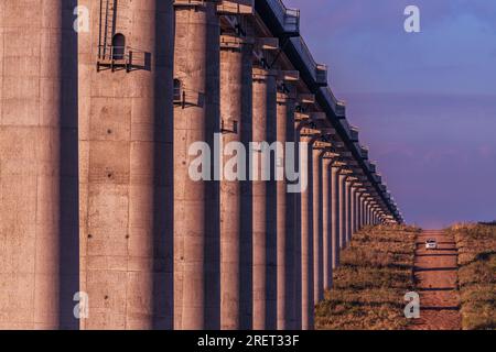 Parco nazionale di Nairobi Kenya Standard Gauge Railway Line SGR Bridge pilastri in cemento nel Parco nazionale di Nairobi Kenya Capital East Africa Morning Beautif Foto Stock