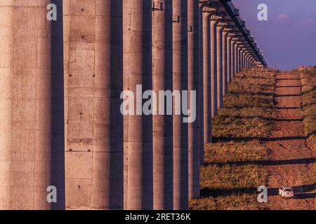 Parco nazionale di Nairobi Kenya Standard Gauge Railway Line SGR Bridge pilastri in cemento nel Parco nazionale di Nairobi Kenya Capital East Africa Morning Beautif Foto Stock