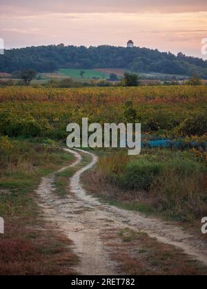 Strada di ghiaia attraverso i campi conduce ad una cappella Foto Stock