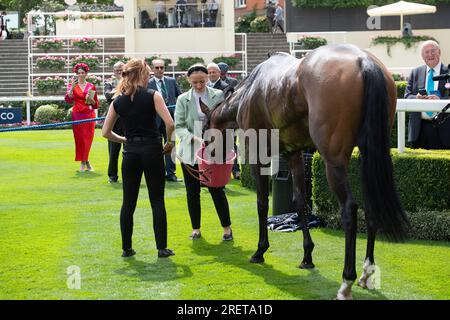 Ascot, Berkshire, Regno Unito. 29 luglio 2023. Uno sposo molto felice con il cavallo Random Harvest guidato dal fantino Saffie Osborne dopo aver vinto la Longines Valiant Stakes. Proprietaria e allevatrice Lady Bamford. Formatore ed Walker, Upper Lambourn. Credito: Maureen McLean/Alamy Live News Foto Stock