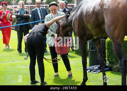 Ascot, Berkshire, Regno Unito. 29 luglio 2023. Uno sposo molto felice con il cavallo Random Harvest guidato dal fantino Saffie Osborne dopo aver vinto la Longines Valiant Stakes. Proprietaria e allevatrice Lady Bamford. Formatore ed Walker, Upper Lambourn. Credito: Maureen McLean/Alamy Live News Foto Stock