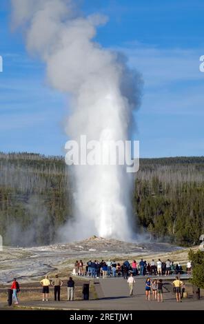 I visitatori che assistono all'eruzione dell'Old Faithful Geyser al parco nazionale di Yellowstone, Wyoming, USA Foto Stock