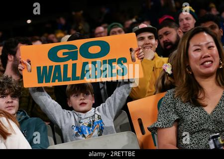 Melbourne, Australia, 29 luglio 2023. I tifosi dei wallabies sono visti durante il match della Bledisloe Cup tra Australia Wallabies e New Zealand All Blacks al Melbourne Cricket Ground il 29 luglio 2023 a Melbourne, in Australia. Crediti: Dave Hewison/Speed Media/Alamy Live News Foto Stock