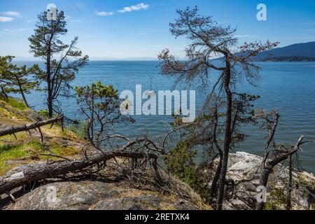 Vista panoramica dal Juniper Point situato nel Lighthouse Park, nella zona ovest di Vancouver Foto Stock