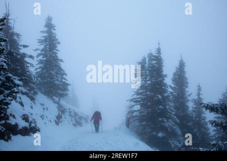 Escursionista solitario che lotta attraverso una tempesta di neve vicino alla cima del Monte Breitenberg nelle Alpi tedesche Foto Stock