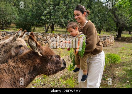 Sorridente giovane madre etnica che solleva adorabile bambino mentre si nutrono insieme asini soffici pasturando in campagna verdeggiante Foto Stock