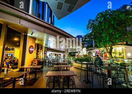 Situato nel centro di Orchard Road, l'Hilton Singapore Orchard offre un posto fondamentale per esplorare il quartiere dello shopping e dell'intrattenimento di prima classe della città Foto Stock