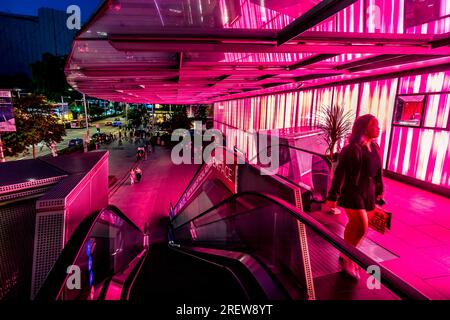 Situato nel centro di Orchard Road, l'Hilton Singapore Orchard offre un posto fondamentale per esplorare il quartiere dello shopping e dell'intrattenimento di prima classe della città Foto Stock