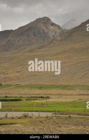 Vista serale della montagna secca con un campo verde accanto allo stagno di Padum, Zanskar Valley, Ladakh, INDIA Foto Stock