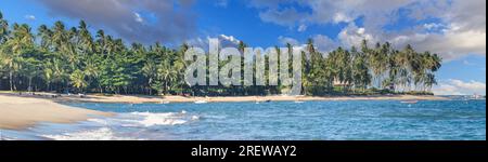 Immagine panoramica di una spiaggia tropicale nella regione brasiliana di Bahia durante il giorno Foto Stock