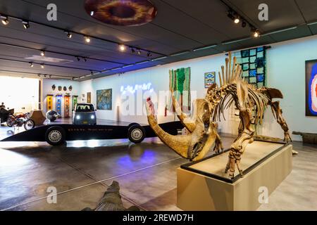 Scheletro fossilizzato di rinoceronte lanoso siberiano (Coelodonta antiquitatis), Museo sa bassa Blanca (msbb) Yannick Vu e Ben Jakober, Alcudia, Major Foto Stock