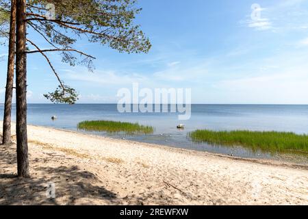Splendida spiaggia di sabbia isolata in una splendida giornata di sole estivo sull'isola di Kihnu, sul Mar Baltico, in Estonia Foto Stock