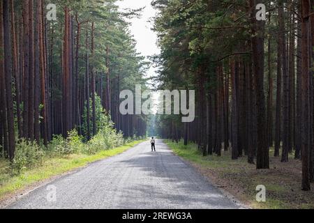 Ragazzo, turista che si trova su una strada rettilinea sull'isola di Kihnu nel Mar Baltico, circondato da una foresta di pini su entrambi i lati, Estonia Foto Stock
