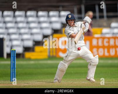 Harry è venuto in battuta per il Derbyshire in un County Championship match tra Derbyshire e Glamorgan Foto Stock