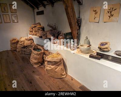 C) Denis TRASFI / MAXPPP - Francia, Bretagne, Morbihan, Maison Yves Rocher à Gacilly le 20 juillet 2023 - Intérieur de la visite avec un décor illustr Foto Stock