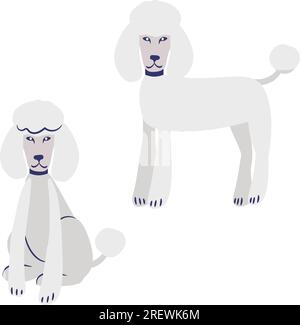 Soffice cartone animato bianco francese di barboncino in due pose sedute e in piedi. Clip art vettoriale Illustrazione Vettoriale