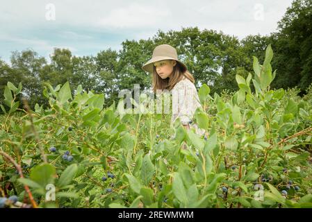 Mietitura. Ritratto al lavoro. Ragazza adolescente con un cappello a setole larghe sul campo. Foto Stock