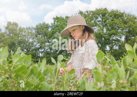 Ritratto al lavoro. Ragazza adolescente con un cappello a setole larghe sul campo. Raccolta in estate Foto Stock