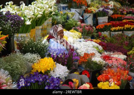 Venditore di fiori circondato da una miriade di fiori colorati Foto Stock